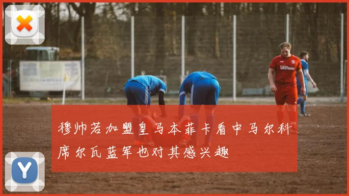 穆帅若加盟皇马本菲卡看中马尔科席尔瓦蓝军也对其感兴趣